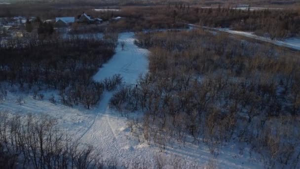 Wideo Lotnicze Lasów Zimą Suszonymi Drzewami Śnieżnymi Drogami Winnipeg Kanada — Wideo stockowe