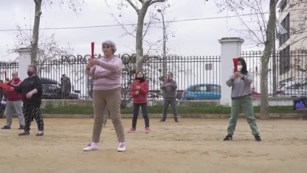 公園で太極拳を練習する学生 — ストック動画