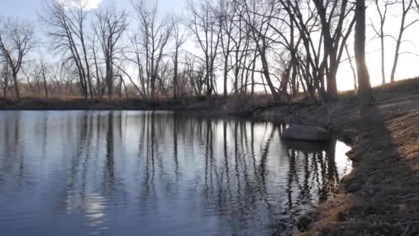 Blick Auf Einen Klaren See Umgeben Von Blattlosen Bäumen Fort — Stockvideo