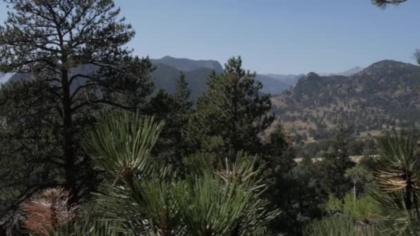 科罗拉多州埃斯特斯公园绿山高树的迷人景观 — 图库视频影像