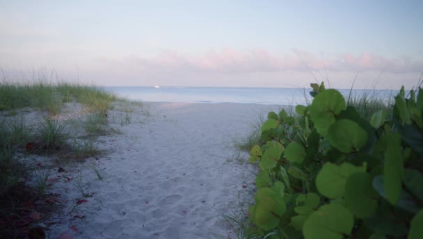 Video Estático Una Playa Amanecer Con Barco Pasando Por Nápoles — Vídeos de Stock