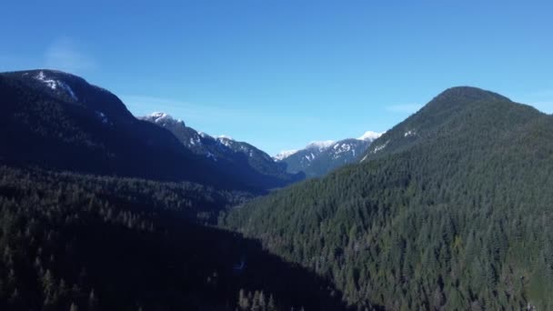 Une Vue Aérienne Des Magnifiques Montagnes Côte Nord Boisées Contre — Video
