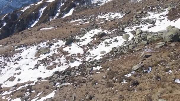 Una Vista Aérea Hermosos Alpes Nevados Campo Bajo Cielo Azul — Vídeo de stock