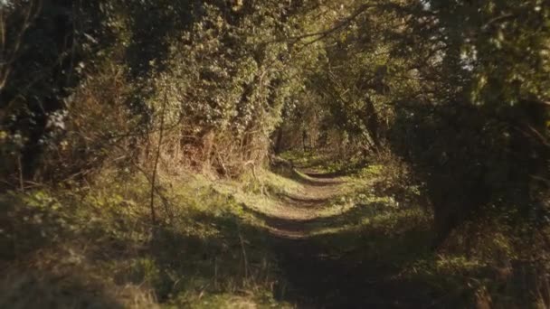 Bild Den Engelska Landsvägen Våren — Stockvideo