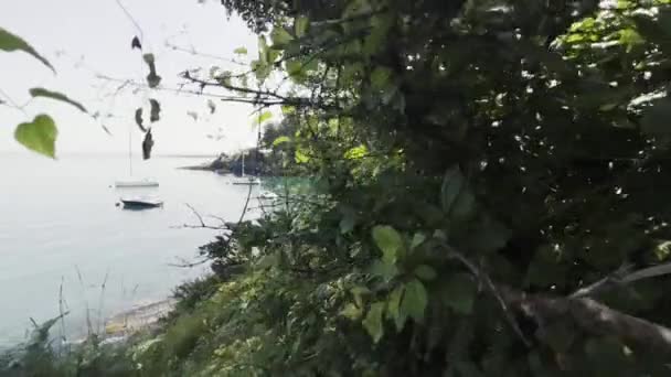 Vacker Bild Gröna Träd Bredvid Elberry Cove Stranden Brixham England — Stockvideo