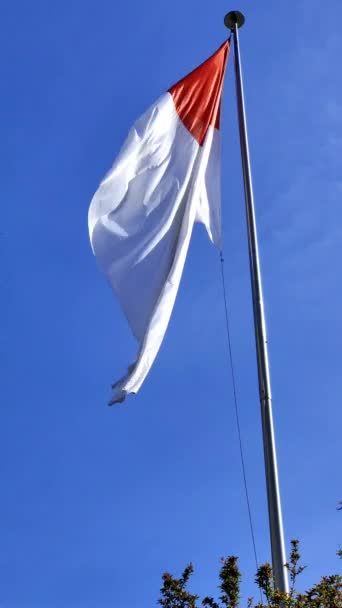 Bandeira Bilbao Agitando Vento Contra Céu Azul — Vídeo de Stock