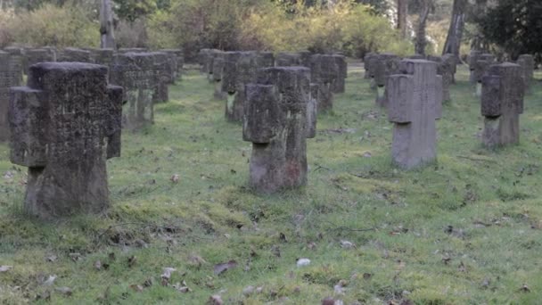 Ein Feld Von Grabsteinen Mit Gräbern Aus Dem Zweiten Weltkrieg — Stockvideo