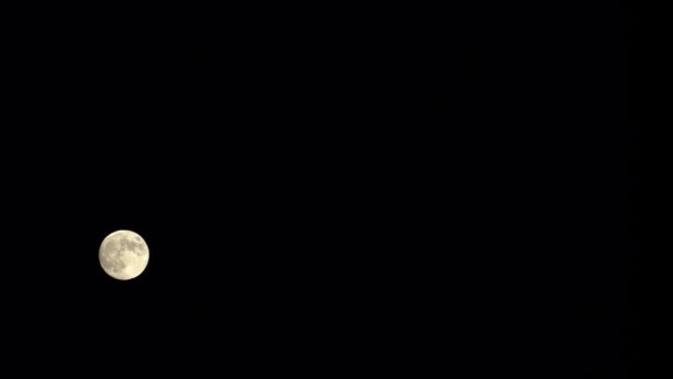 Gyönyörű Kilátás Holdra Éjszakai Égbolton — Stock videók