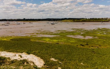 Manningtree, İngiltere 'de, Stour Nehri' ndeki yeşil yosunlar sular çekilince...