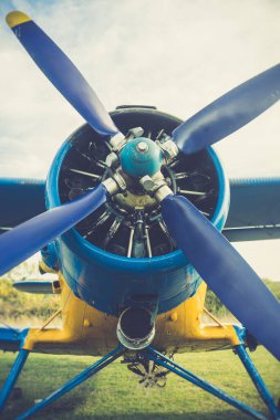 Mavi ve sarı bir Antonov An-2 uçağı.