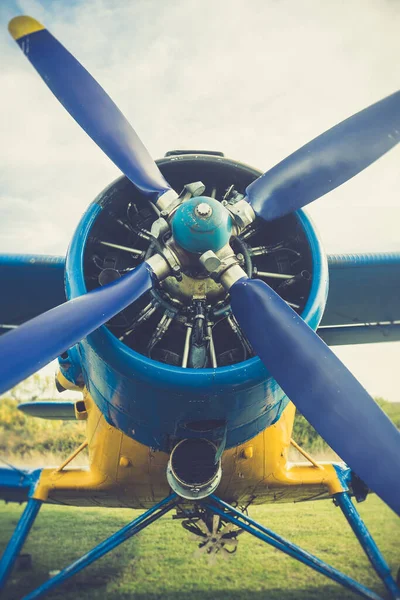 Een Blauw Geel Antonov Vliegtuig — Stockfoto