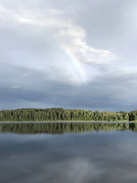 Kat Hond Zomer Weekend Latvia Kekava — Stockfoto