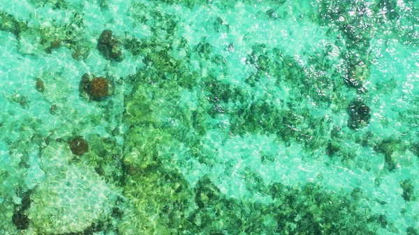 Eine Drohne Fotografierte Die Gewässer Des Indischen Ozeans Mit Meeresschildkröten — Stockfoto