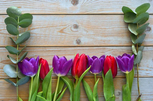 Row Tulips Eucalyptus Leaves Wooden Background Copy Space — Stock Photo, Image