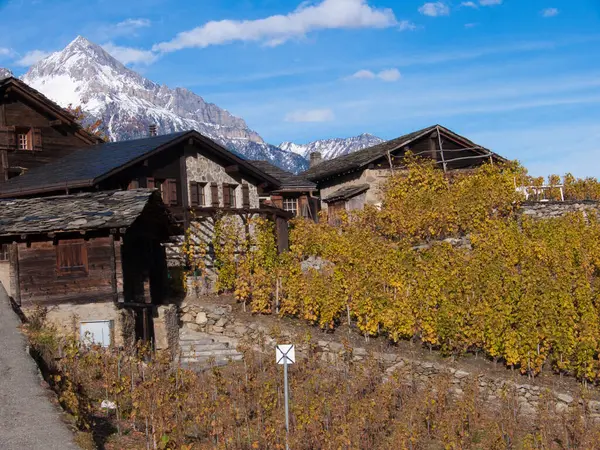 Una Splendida Vista Villaggio Con Piccole Case Vigneti — Foto Stock