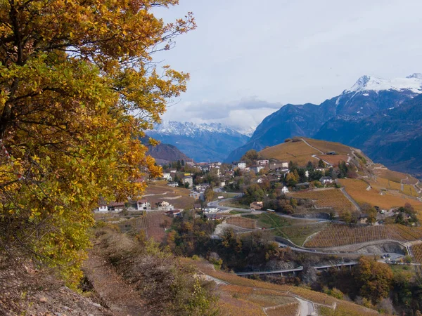 Eine Luftaufnahme Der Skyline Durch Bäume Sion Schweiz — Stockfoto