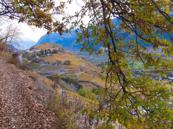 Una Splendida Vista Villaggio Con Case Alberi Autunnali — Foto Stock