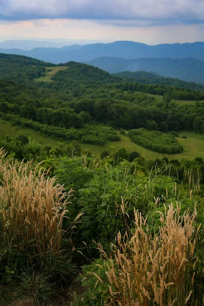 Una Hermosa Vista Superior Cordillera Cubierta Bosque Con Cielo Nublado —  Fotos de Stock