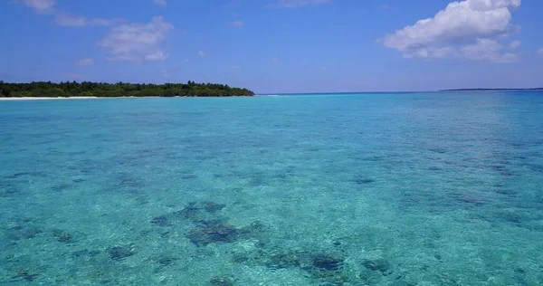 Una Isla Con Árboles Rodeada Océano —  Fotos de Stock