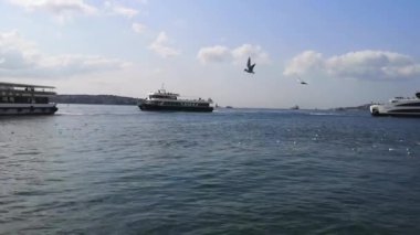 İstanbul 'un Beşiktaş kıyılarından görülen Bakire Kulesi ve limanlara yolcu taşıyan gemiler. Martılar uçar.