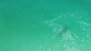 Kumlu bir plajın havadan çekilmiş görüntüsü ve insanlar bir tatil köyüne karşı dinleniyorlar.