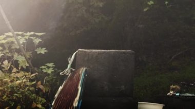 Güney Kore 'de terk edilmiş eski bir kuyu.