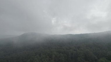 Bandung, Lembang, Endonezya 'da sisli bir günde sık ormanın güzel bir hava manzarası.