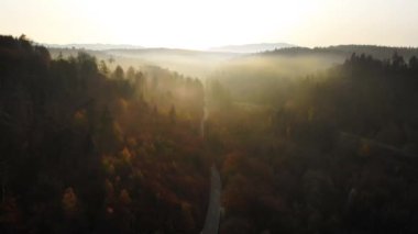 Sonbaharda renkli ağaçlarla kaplı dağlık bir arazinin büyüleyici bir görüntüsü.