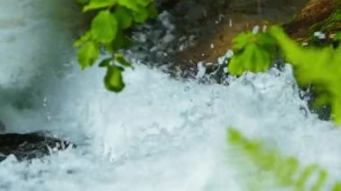 Ormandaki kayaların üzerinden akan bir nehrin yakın plan çekimi.