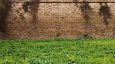 Roma, Lazio, İtalya 'nın merkezindeki Ostiense yakınlarındaki duvarların görüntüleri.
