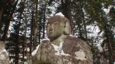 Japonya 'da kış boyunca eski Buddah heykellerinin yakın plan çekimi.