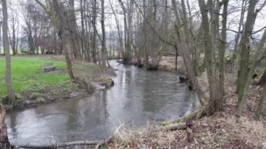 Ormanın ortasındaki akan nehrin hava aracı görüntüsü.