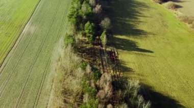 Yeşil vadiler arasında çizgili yapraksız kuru ağaçların havadan görünüşü