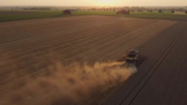 Reims, Fransa 'da gün batımında tarlada buğday biçme makinesinin insansız hava aracı görüntüsü.