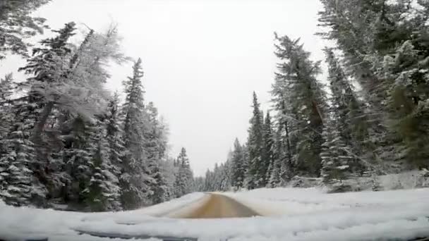 Filmato Una Vista Della Natura Canadese Una Macchina — Video Stock