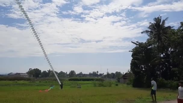 인도네시아 아이들이 드래곤 만들려고 합니다 오후에 논에서 날아오기 합니다 — 비디오