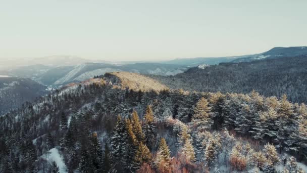Εναέρια Άποψη Του Βουνού Θέα Δάσος Χειμώνα — Αρχείο Βίντεο