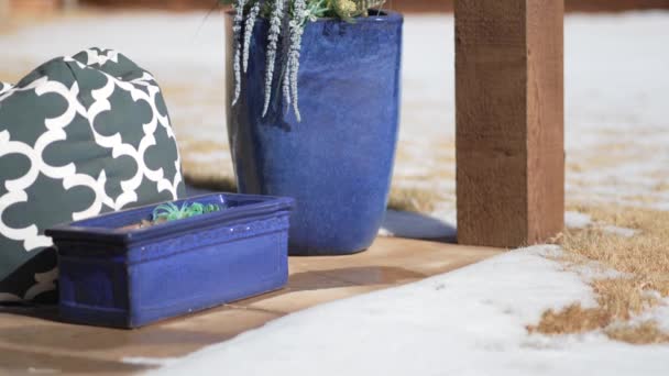 裏庭のパティオの青いポットの植物のビデオを飾るクローズアップ 家の装飾のインスピレーション — ストック動画