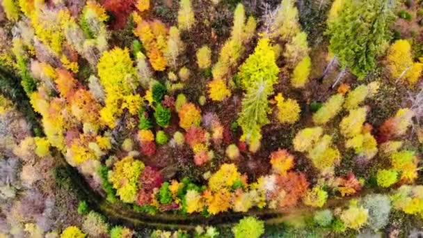 Uno Scatto Ipnotizzante Paesaggio Montuoso Ricoperto Alberi Colorati Autunno — Video Stock
