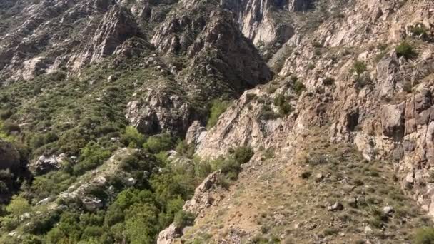 Nagranie Lotu Ptaka Przez Stromy Kanion Chino Tramwaju Palm Springs — Wideo stockowe