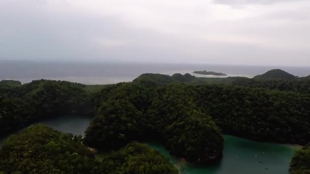 Una Vista Aérea Océano Árboles Verdes Densos Filipinas — Vídeos de Stock
