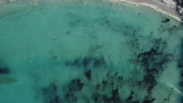 Ett Flygfoto Vacker Strand Cancun Mexiko Drönare — Stockvideo