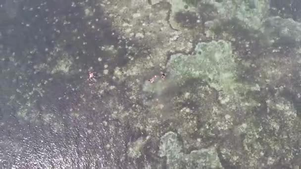 Eine Rotierende Drohne Schoss Auf Zwei Strandbesucher Die Vor Der — Stockvideo