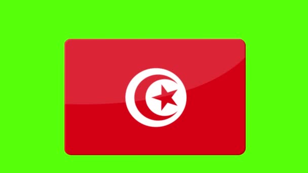 チュニジアの旗のデジタル映像が緑の画面に現れる — ストック動画