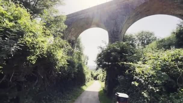 Vacker Utsikt Över South Devon Railway Viaduct Bridge Med Gröna — Stockvideo