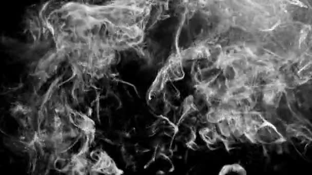 Білий Дим Піднімається Вгору Перетворюється Абстрактні Фігури Чорному Тлі — стокове відео