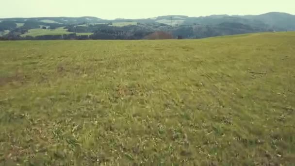 Veduta Aerea Della Foresta Nera Germania Friburgo Schwarzwald — Video Stock