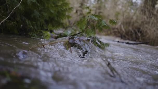 Una Cámara Lenta Agua Que Fluye Sobre Las Rocas Pedazos — Vídeo de stock