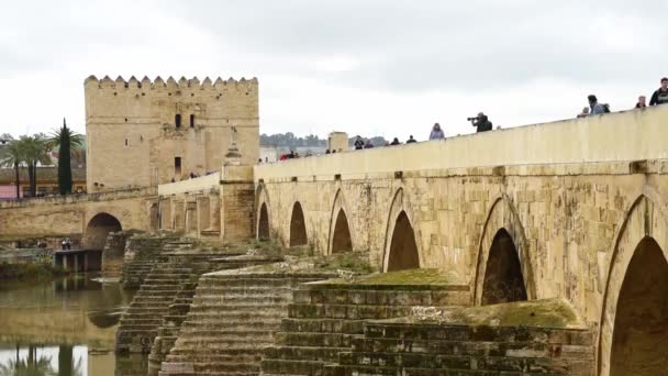 Красивый Вид Римский Мост Кордове Испания — стоковое видео