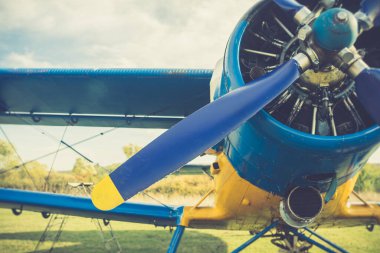 Mavi ve sarı bir Antonov An-2 uçağı.